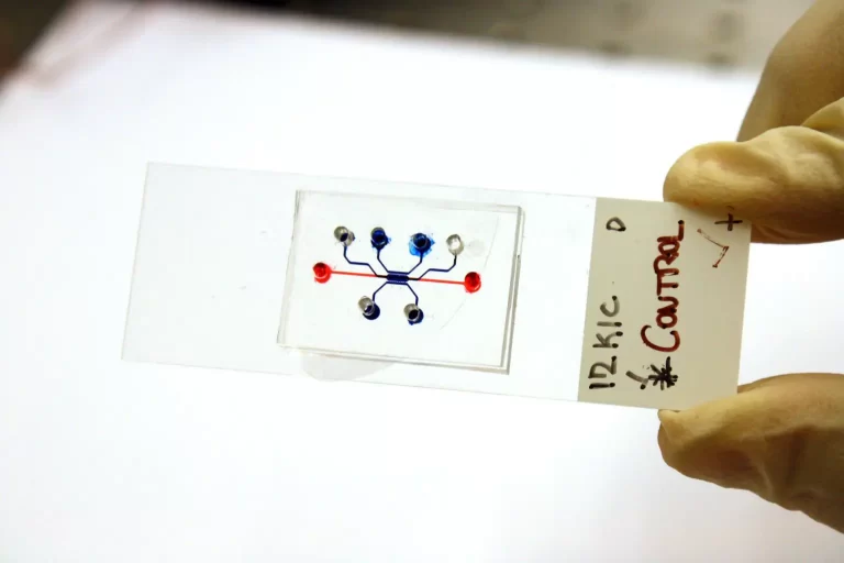 Cancer Cells Turned Into Logic Gates!