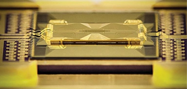 The Quantum Ecosystem Of The Future