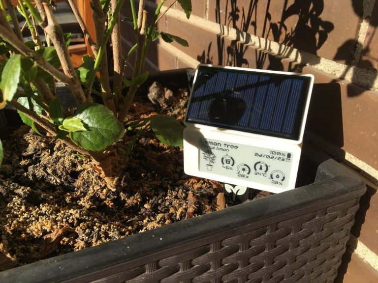 Tindie Blog | Smart Plant: Low Power Plant Monitoring