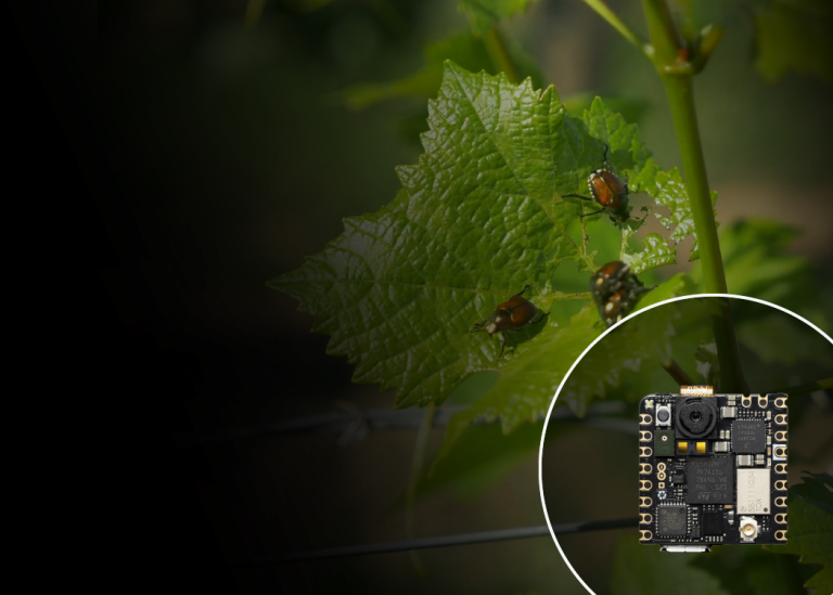 Vineyard pest monitoring with Arduino Pro