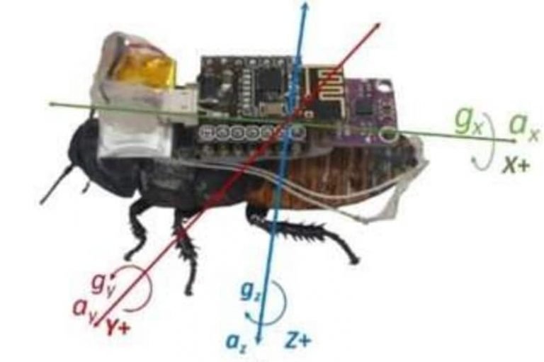 Optimizing Cockroach Movement With Machine Learning