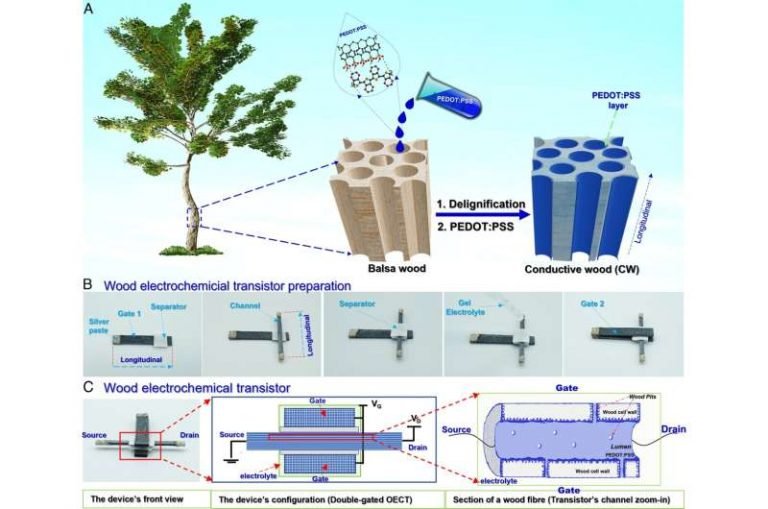 Can Treated Wood Be Used To Construct Transistors