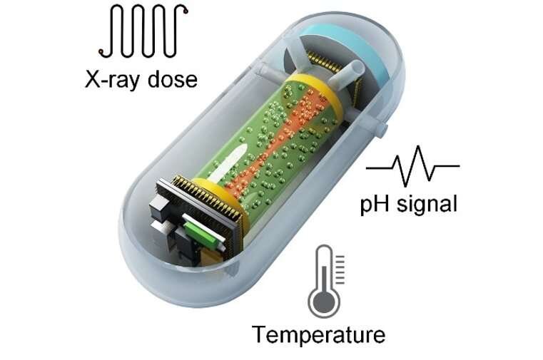 A New Measuring Instrument For Real-Time Radiotherapy Monitoring