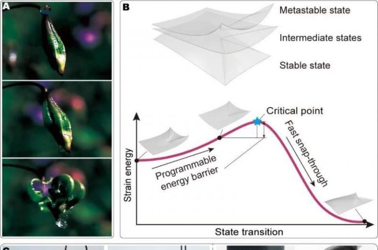 Bistable Structures Improve Robot Performance