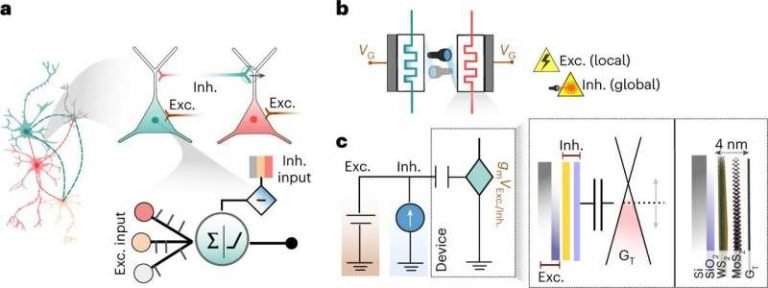 Machine Learning System Mimics Complex Brain Functions